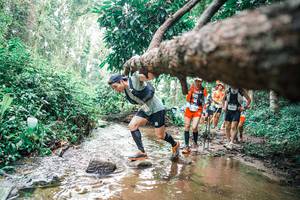 BIB: 
                            <button type="button" onclick="openModal(25372431)" class="btn btn-primary btn-sm float-right btn-popup" data-toggle="modal" data-target=".modal-high-quality">
                        <i class="fas fa-shopping-cart"></i> Add to Cart
                    </button>
                                            <button type="button" onclick="isThisMe(25372431, true)" class="btn btn-success btn-sm float-right btn-popup btn-isme hidden" data-toggle="tooltip" data-placement="bottom" title="นี่คือรูปของคุณใช่ไหม คลิกที่นี่เพื่อเอาเข้าอัลบั้ม">
                        <i class="fas fa-plus"></i> Add to album
                    </button>
                    <button type="button" onclick="isThisMe(25372431, false)" class="btn btn-warning btn-sm float-right btn-popup btn-isnotme hidden">
                        <i class="fas fa-ban"></i> Remove from album
                    </button>